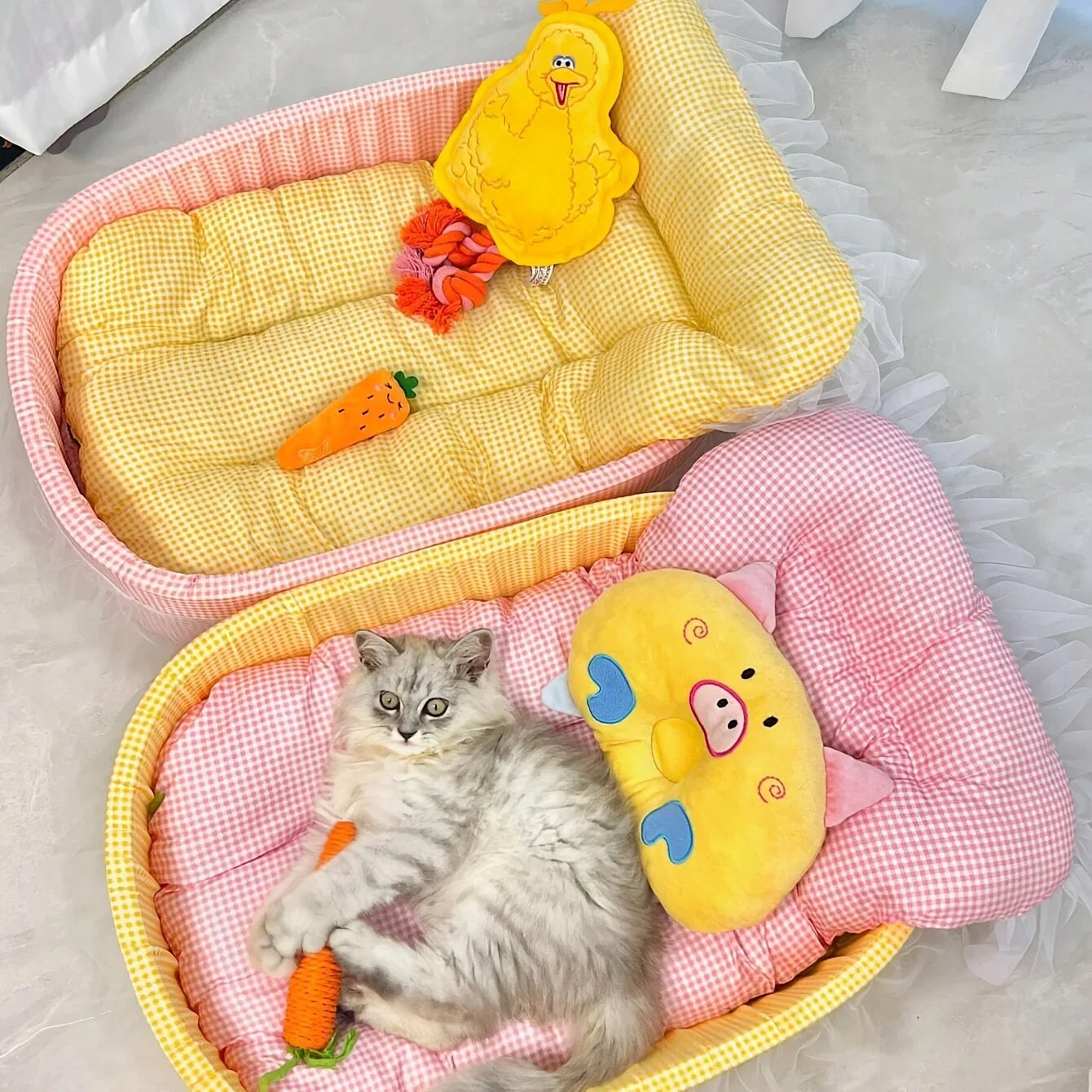 Pet Beds