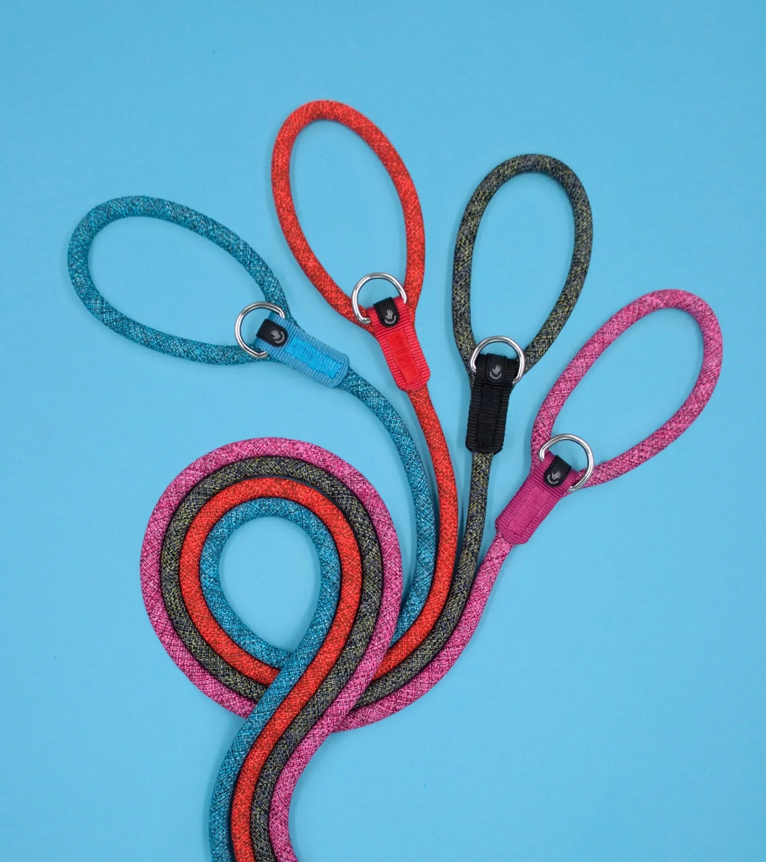 Leashes
