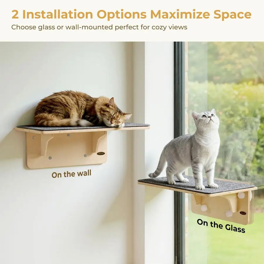 2in1 Large Cat Window Perch amp Wall Shelves, Cat Hammock Window with Solid Wood, Strong Suction Cup, Washable Cover Mat, Window