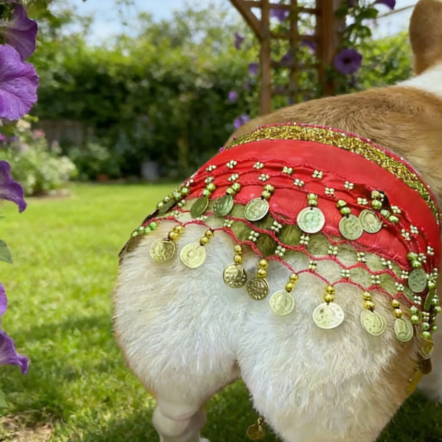 Dog Belly Dancer Skirt Pet Costumes with Sequins & Coins Adjustable Puppy Dancing Dress Multi-Purpose Decorative Dance Hip Towel