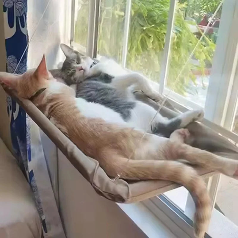 Ultra Soft Cat Window Hammock Bed Securely Mounted Space Saving Cat Perch Ideal for Feline Naptime Top Pet Accessories for Cats