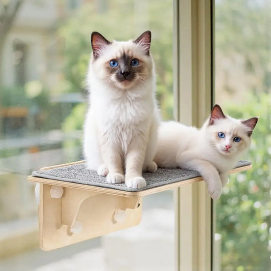 2in1 Large Cat Window Perch amp Wall Shelves, Cat Hammock Window with Solid Wood, Strong Suction Cup, Washable Cover Mat, Window