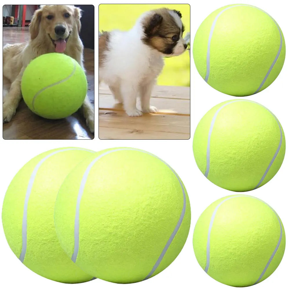 5Pcs 9.5' Big Giant Pet Dog Puppy Tennis Ball Thrower Chucker Launcher Play Toy