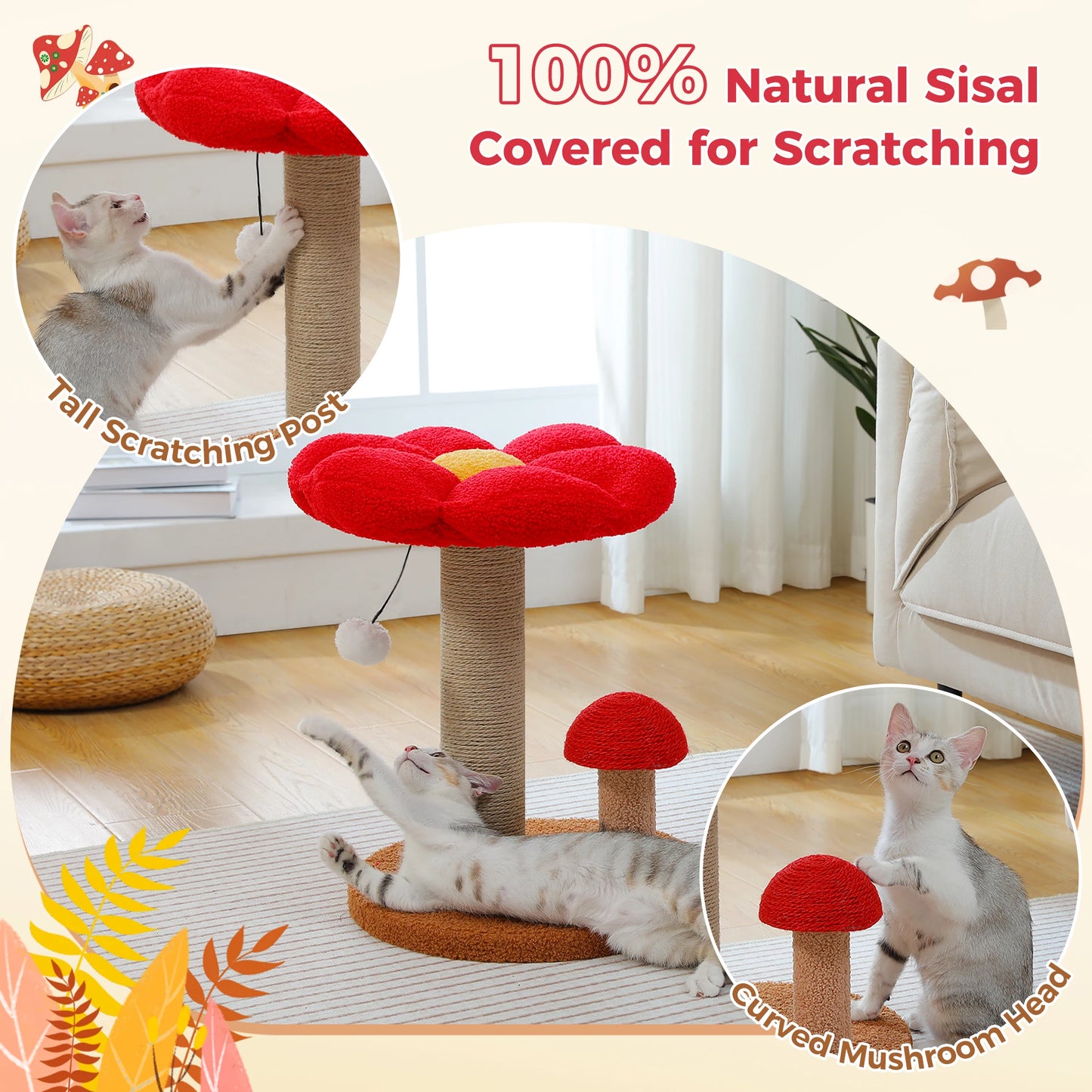 Small Cat Scratching Posts with Removable Flower Cat Bed Interactive Toy Ball Cute Mushroom Cat Scratcher for Indoor Cat Toys