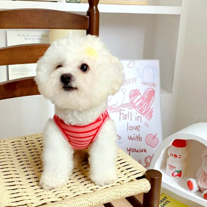 Summer Pet Vest Fashion Simple Striped Dog Shirt Chihuahua Yorkshire Thin Soft Vest Puppy Cat Vest Costume Dog Clothing