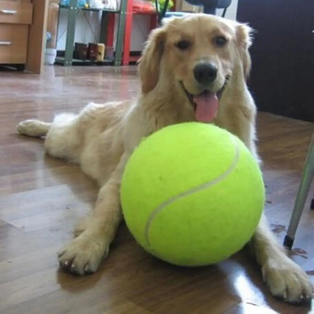 5Pcs 9.5' Big Giant Pet Dog Puppy Tennis Ball Thrower Chucker Launcher Play Toy