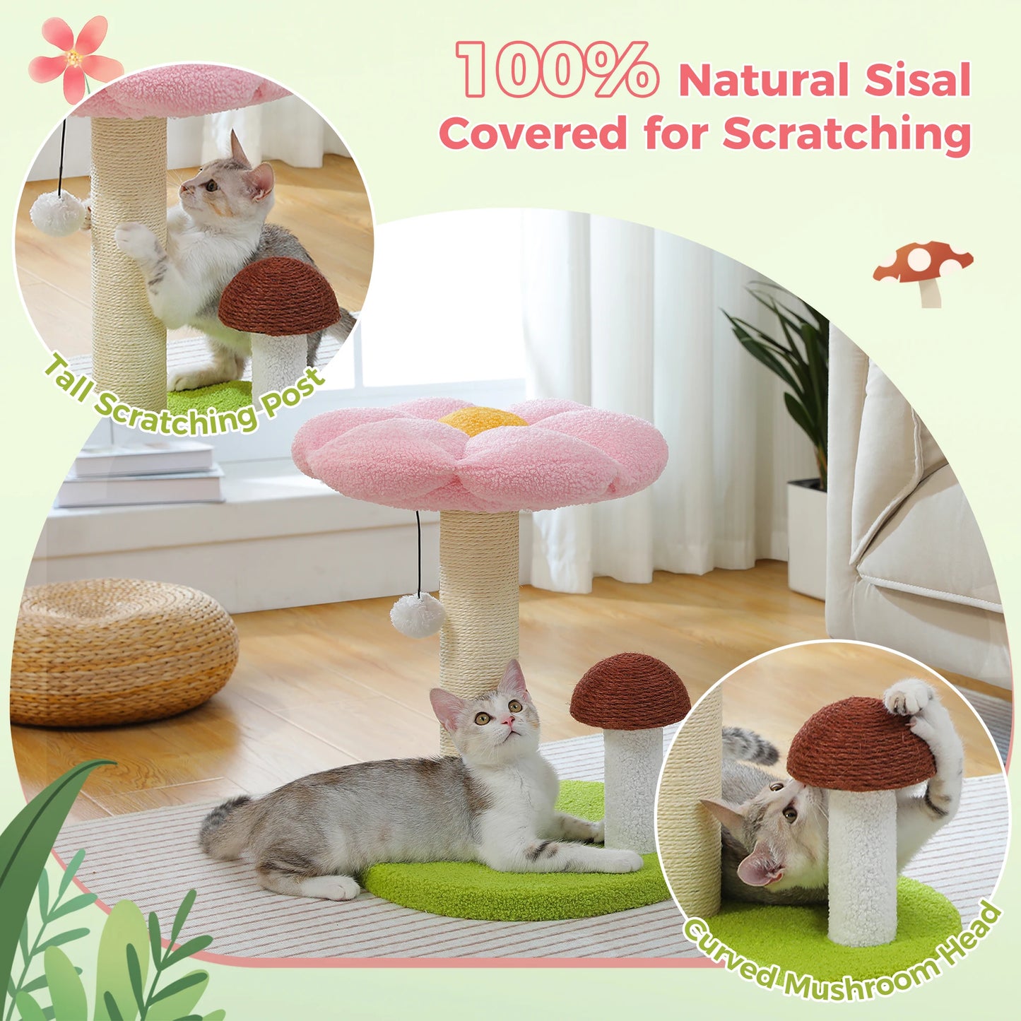Small Cat Scratching Posts with Removable Flower Cat Bed Interactive Toy Ball Cute Mushroom Cat Scratcher for Indoor Cat Toys