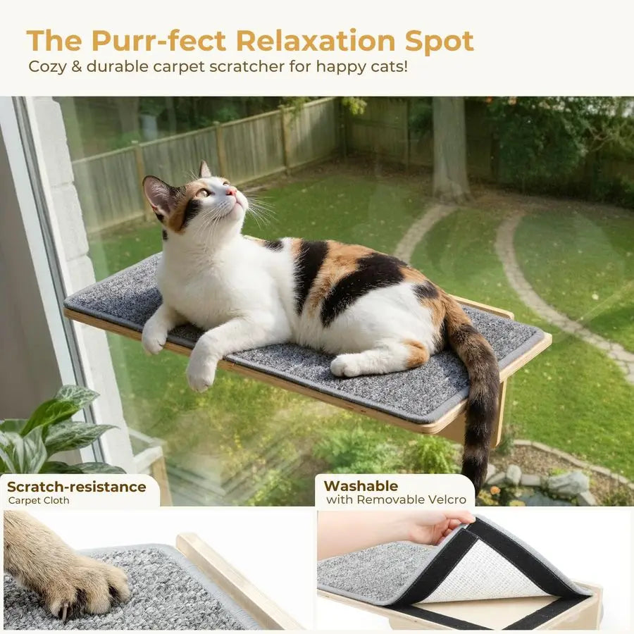 2in1 Large Cat Window Perch amp Wall Shelves, Cat Hammock Window with Solid Wood, Strong Suction Cup, Washable Cover Mat, Window
