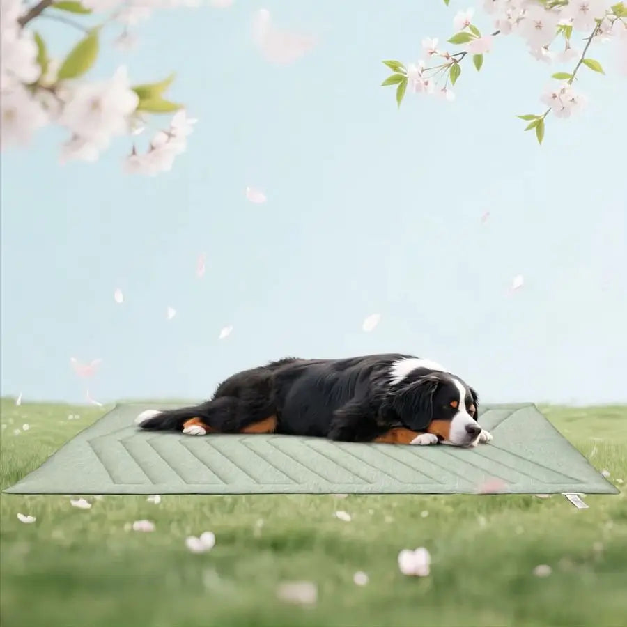 Mat for Dogs Ice Green, 150x102cm No Gel, Cool Fabric Top amp Velvet Back Giant Pet Blanket, Washable, Pet Cooling Mat Available