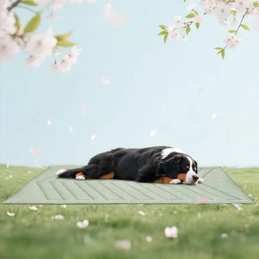 Mat for Dogs Ice Green, 150x102cm No Gel, Cool Fabric Top amp Velvet Back Giant Pet Blanket, Washable, Pet Cooling Mat Available