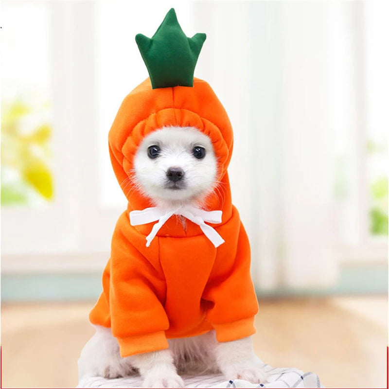 Pet Dog Clothes for Dogs Hoodies Funny Fruit Dog Coat Puppy Pet Clothing for Dogs Costume Chihuahua Yorkshire Ropa Perro