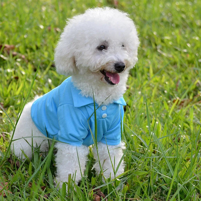 Spring Dog Shirts 6 Candy Colors Vest Pet Polo Collar Breathable Solid Shirts Chihuahua Yorkshire for Dog and Cat Casual Shirts