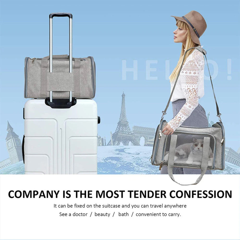 1PC Cat, Dog Carrier for Small Medium Cats Puppies up to 15 Lbs, Collapsible Travel Puppy Carrier