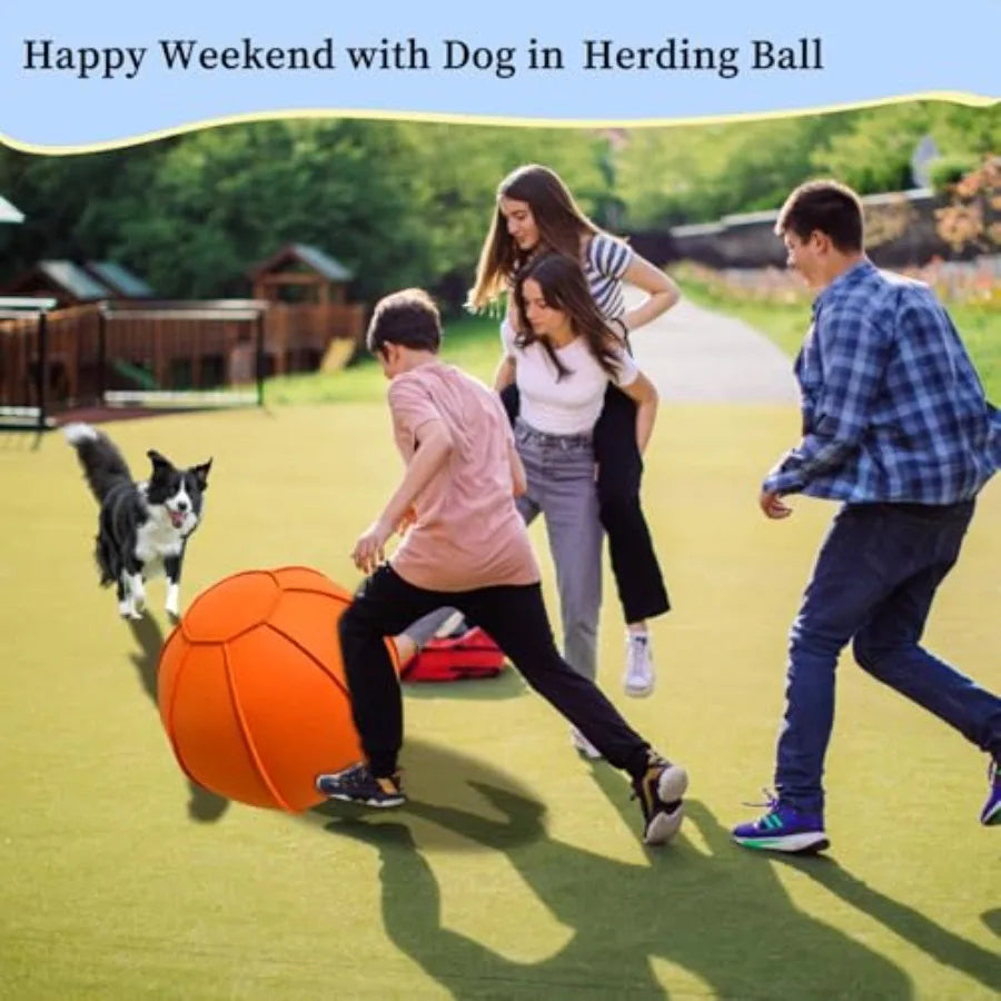 Herding Ball for Dogs Dual Layered Herding Dog Ball Set for Australian Shepherd Cattle Collie for Dog Agility Equipment- Free T